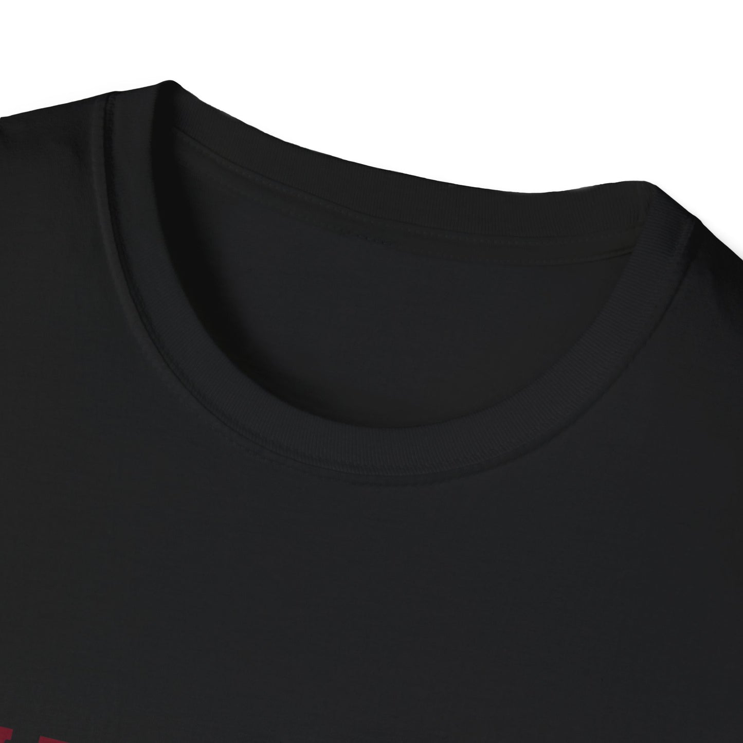 Celtic Knights Adult Softstyle T-Shirt